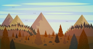 Spruce forest landscape