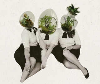 Three women with plants in their heads