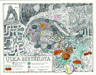 The Berthelota street. Illustration to the book of Stefan Themerson.