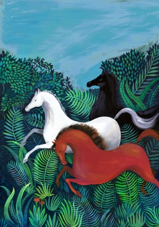 wild horses helena perez garcia