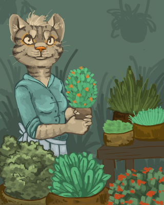 Cat with herbs