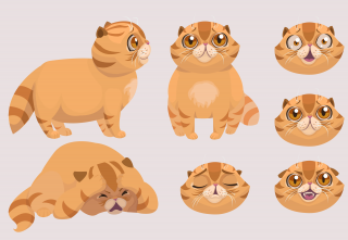 Scaredy cat character sheet.