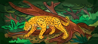 Jaguar