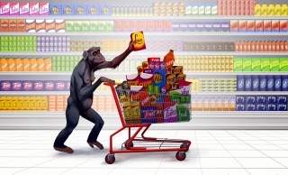 Shopping Monkey: A female monkey pushing a shopping cart, taking some love off the shelf 