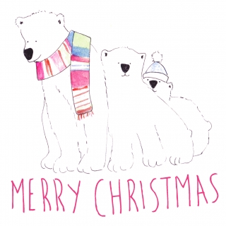 Bear christmas