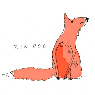 PW Bin-Dog_945.jpg