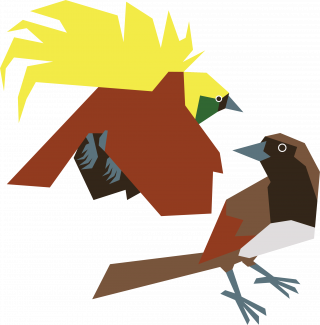 Bird couple