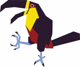 Dancing toucan