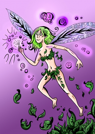 Fairy 