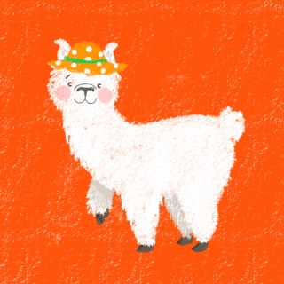 llamaCOLOUR