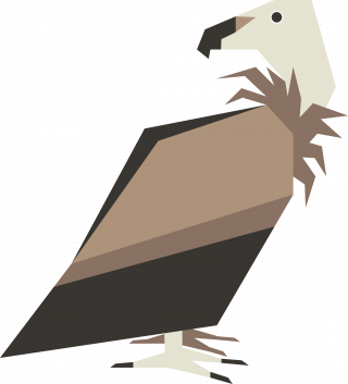 Griffon Vulture Bird Vector Artwork