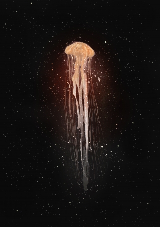 _jellyfish