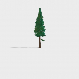 tree.jpg