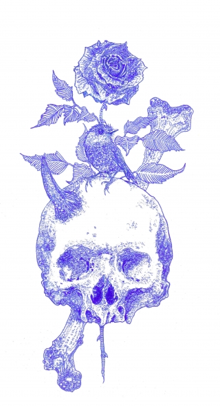 Skull and bird.jpg