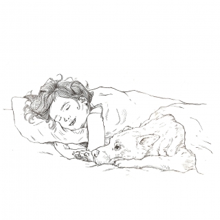 Sleeping child with dog under the blanket 