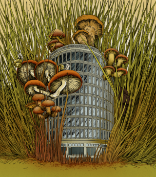 Screen Shot 2018-05-14 at 11.18.20.png