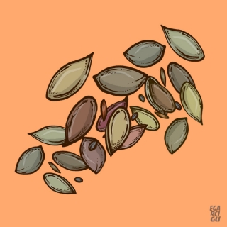 seeds