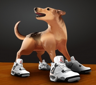 General-Illustration-Doggy-shoes.jpg