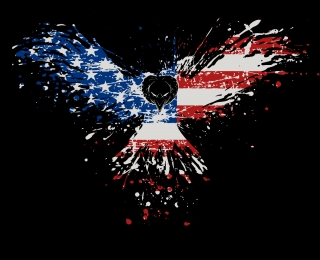 ameritrash-flag-eagle