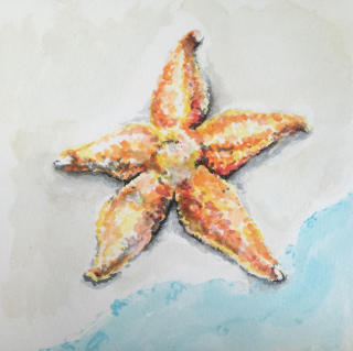 Screen Shot 2018-02-07 at 6.56.12 PM.png