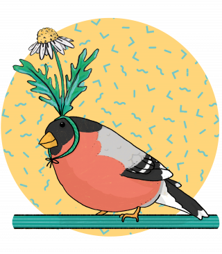 Bird of a feather funny cute illustration of a robi bird using a daisy as hat on pastel backgroun with memphis pattern.png