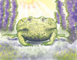 toad.jpg