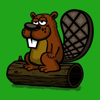beaver.jpg