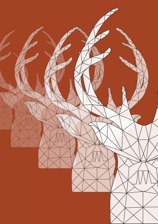 deer1_illustration.jpg