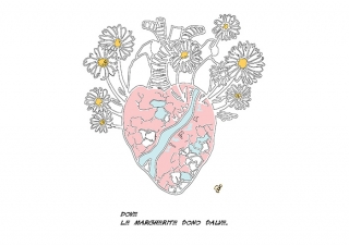 cuore-margherite2-02.jpg