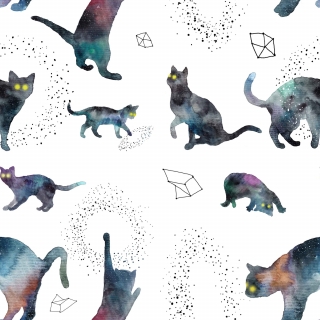 cosmic_cats