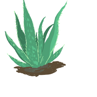 Plant2.png