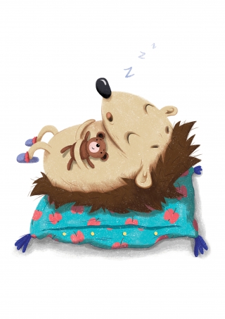 Sleeping hedgehog (Lil Castle)