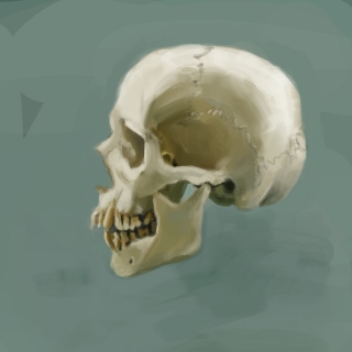 skull2