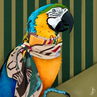 parrot wearing a silk scarf.jpg