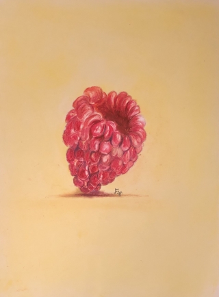 Raspberry (Objectifying Fruit).jpg