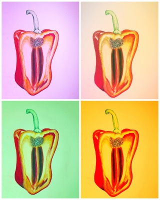 Pop Peppers.JPG