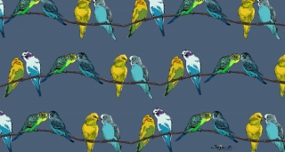 Birds-pattern