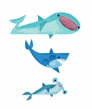 sharks