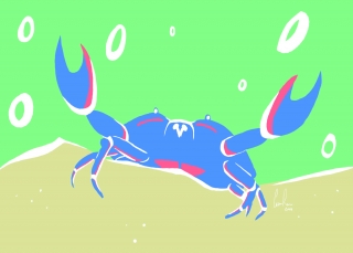 CR blue crab.jpg