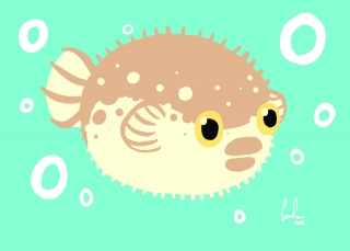 puffer fish.jpg