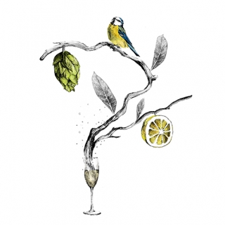 illustration for a beverage menu.jpg