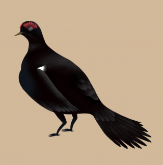 Снимок экрана 2018-09-17 в 23.05.15.png