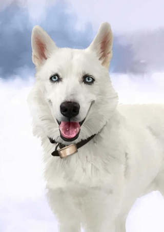 andre perro small.jpg