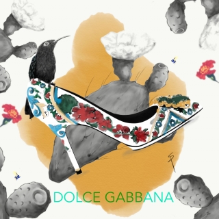 Dolce Gabbana 