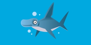 shark