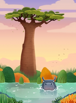 baobab-illustration