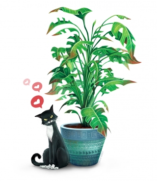 cat-on-plant-a4