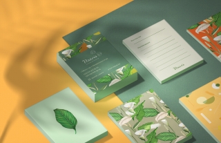 Beauty studio branding design and illustrations