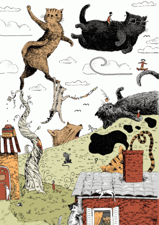 kasia_piatek_silly_cats.jpg