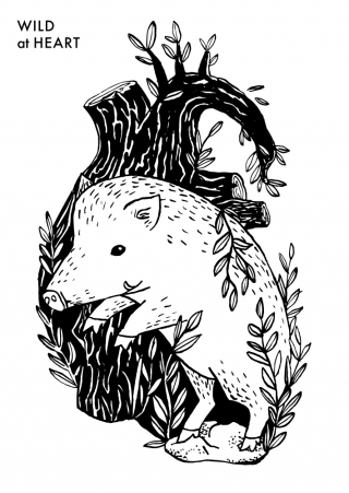 kasia_piatek_wild_at_heart.jpg
